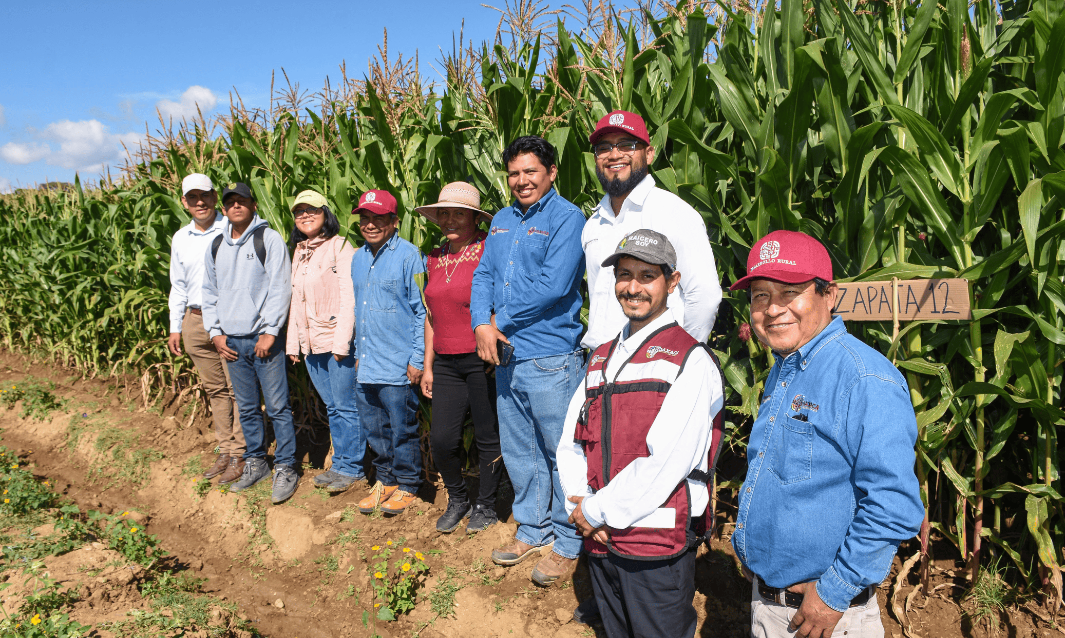 Equipo de SEFADER y CIMMYT en una de las plataformas de investigación del proyecto. (Foto: CIMMYT)